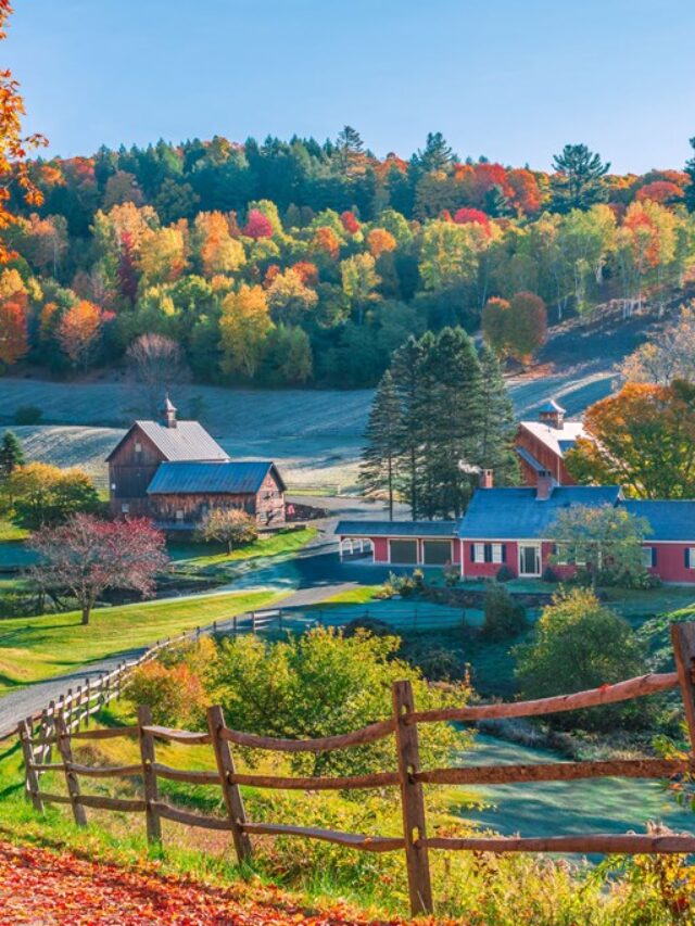 fall-foliage-vermont